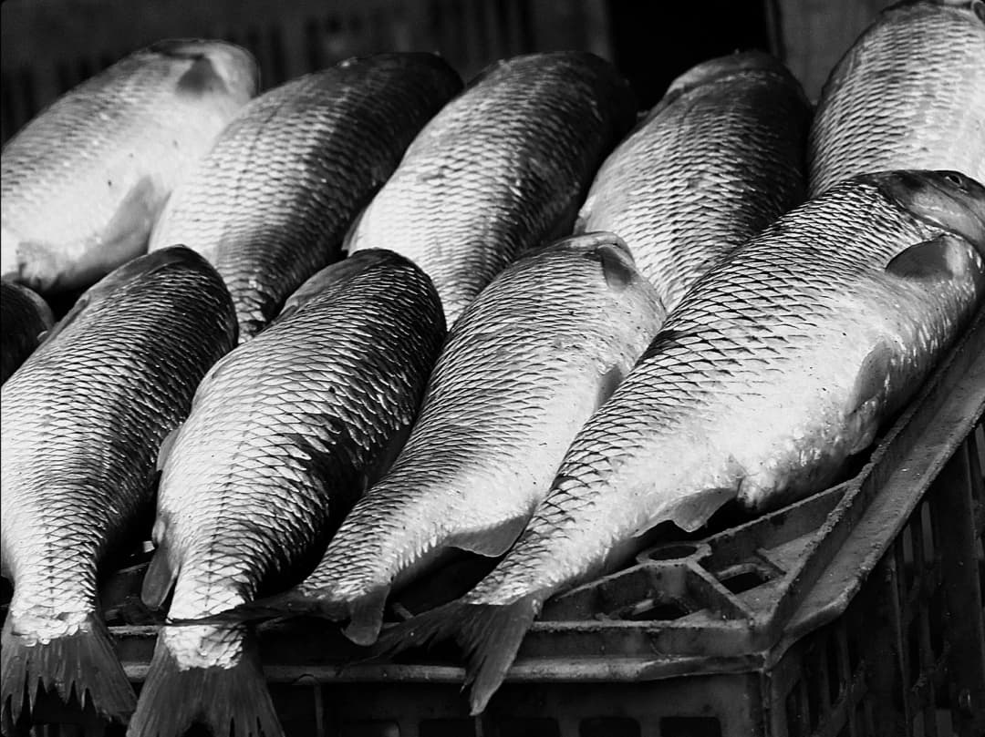 Partenaire de confiance