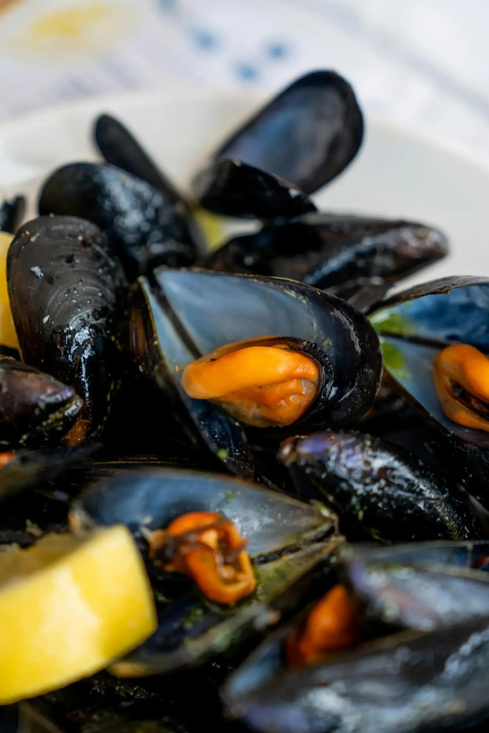 moules